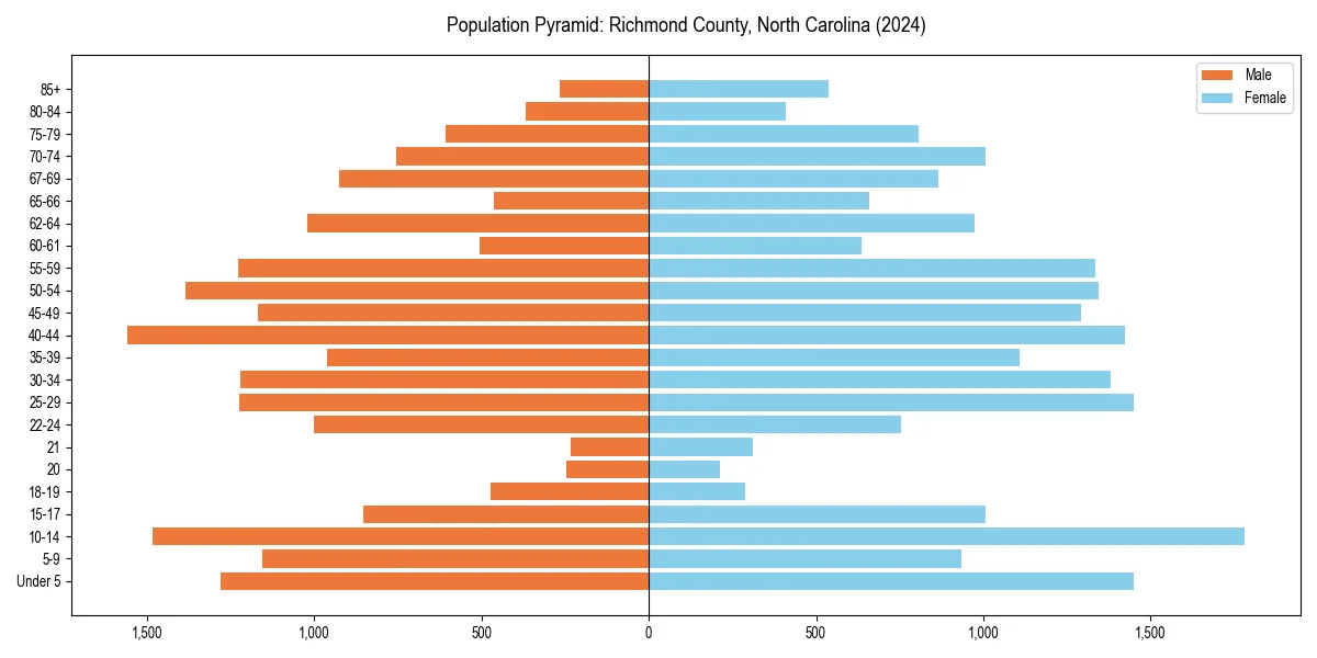 Population pyramid for 