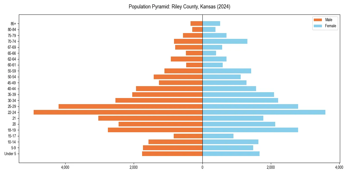 Population pyramid for 