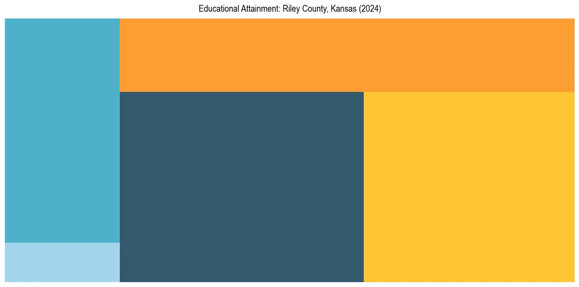 Education Treemap for  in 2024