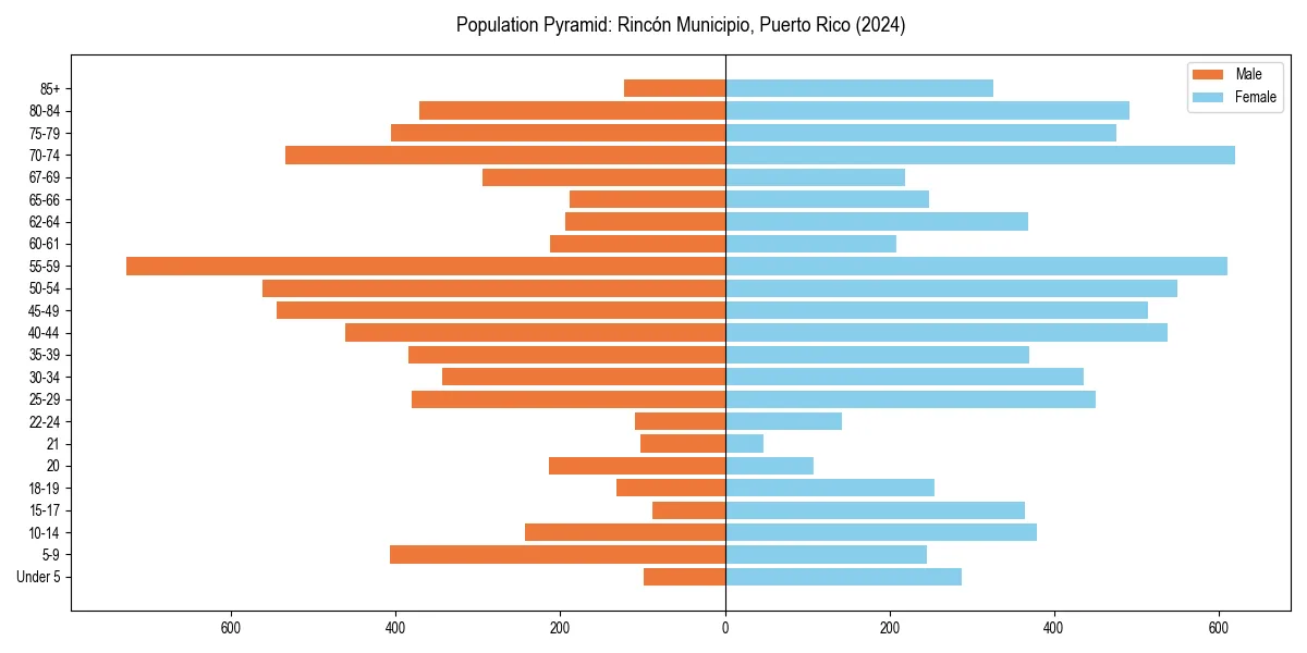 Population pyramid for 