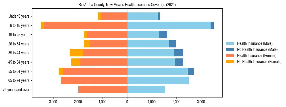 Health insurance pyramid for Rio Arriba County, New Mexico