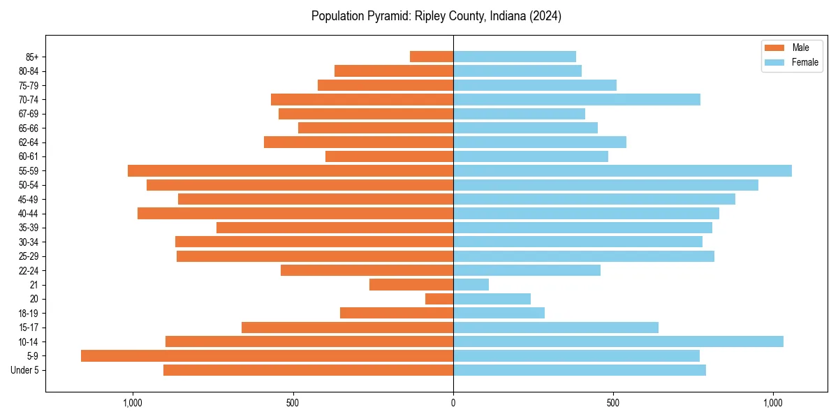 Population pyramid for 