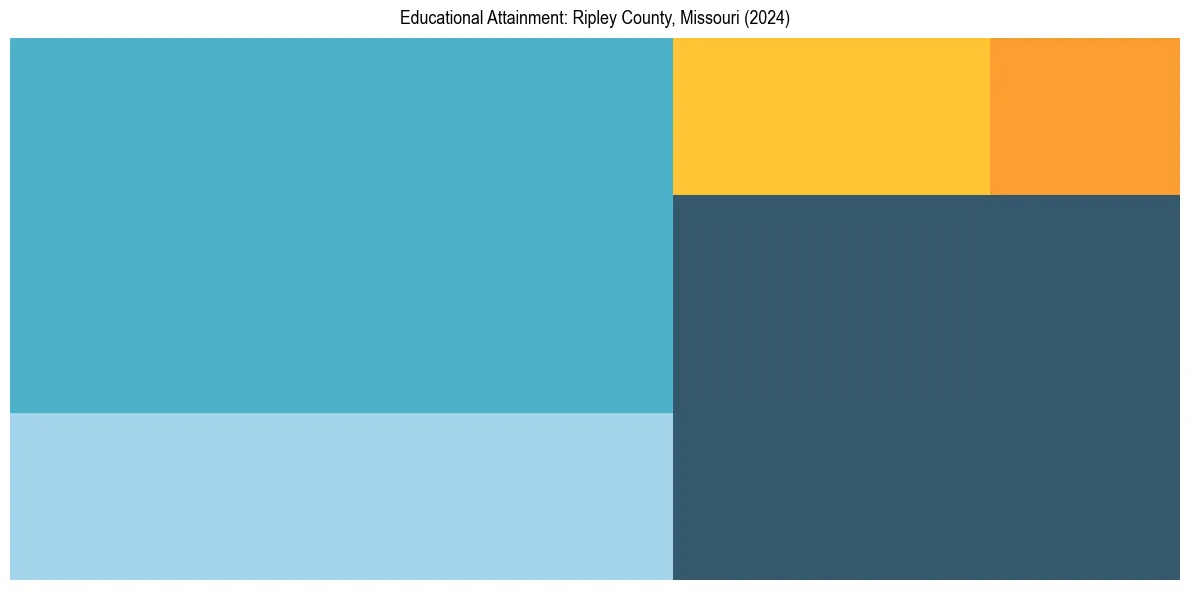 Education Treemap for  in 2024
