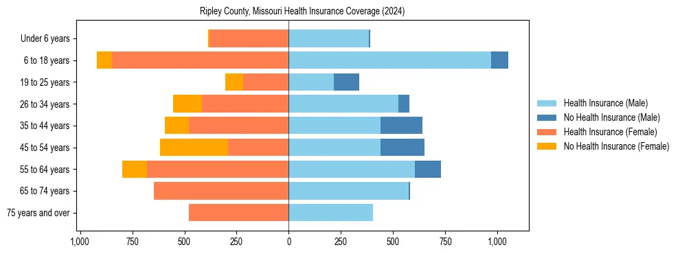 Health insurance pyramid for Ripley County, Missouri