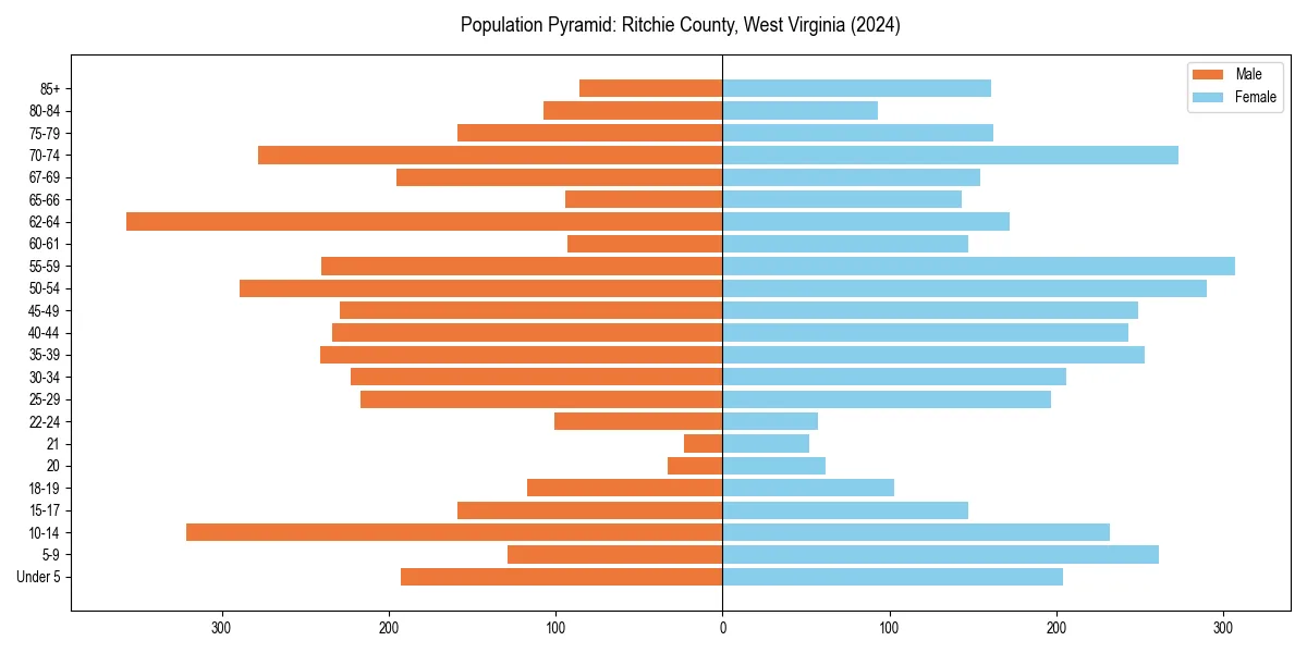 Population pyramid for 