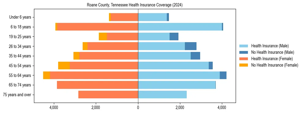 Health insurance pyramid for Roane County, Tennessee