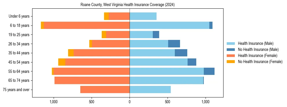 Health insurance pyramid for Roane County, West Virginia