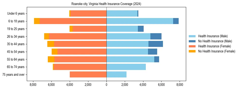 Health insurance pyramid for Roanoke city, Virginia