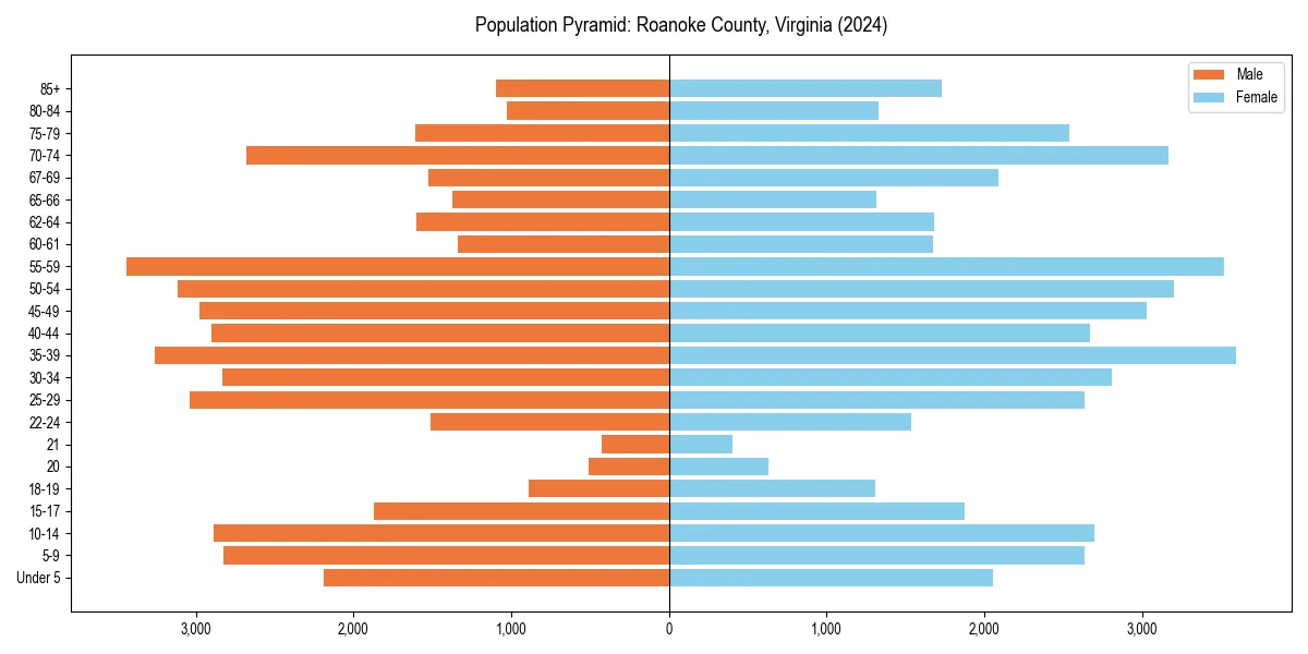 Population pyramid for 