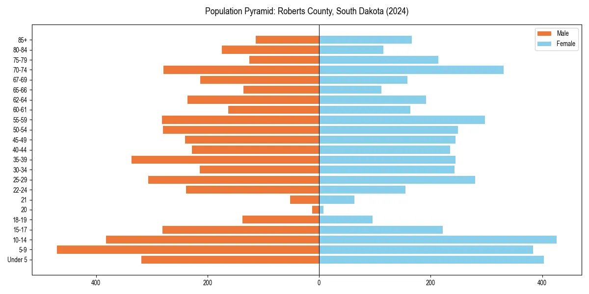 Population pyramid for 