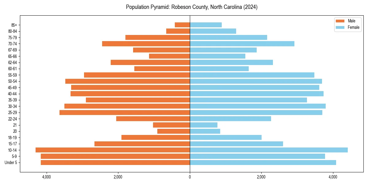 Population pyramid for 