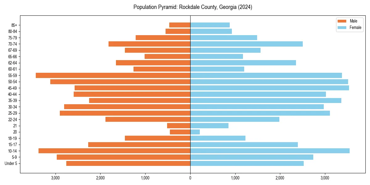 Population pyramid for 