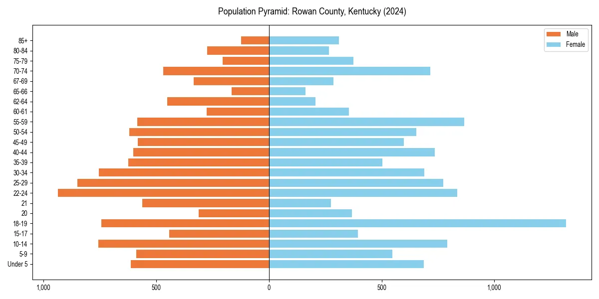 Population pyramid for 