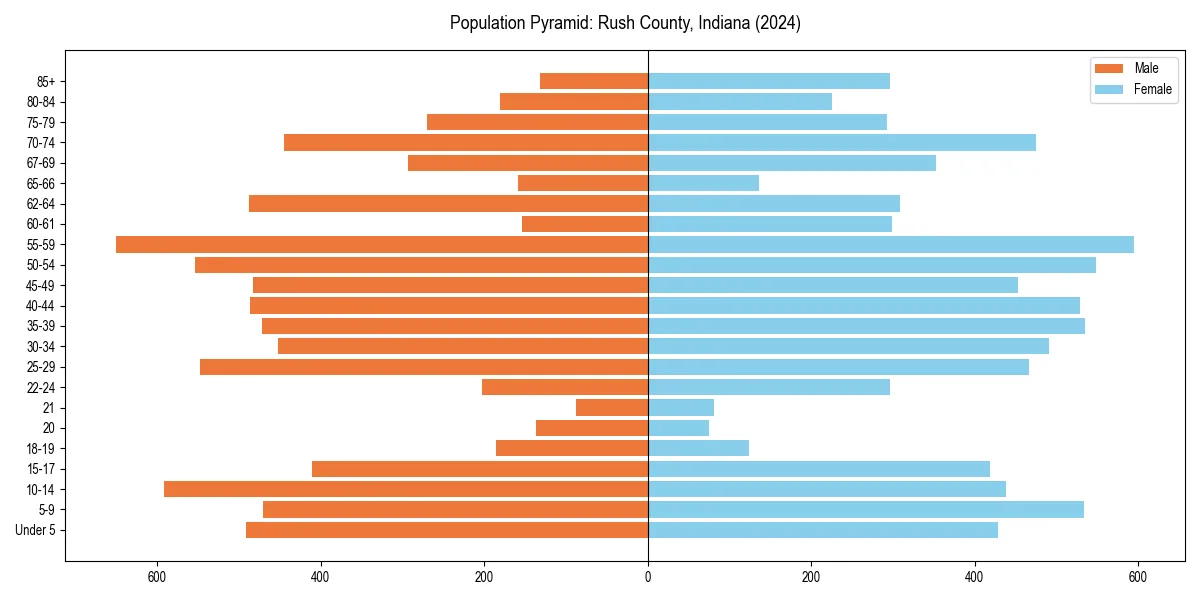 Population pyramid for 