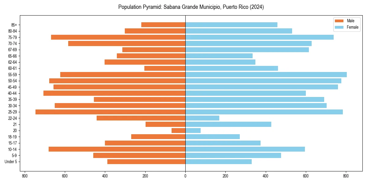 Population pyramid for 