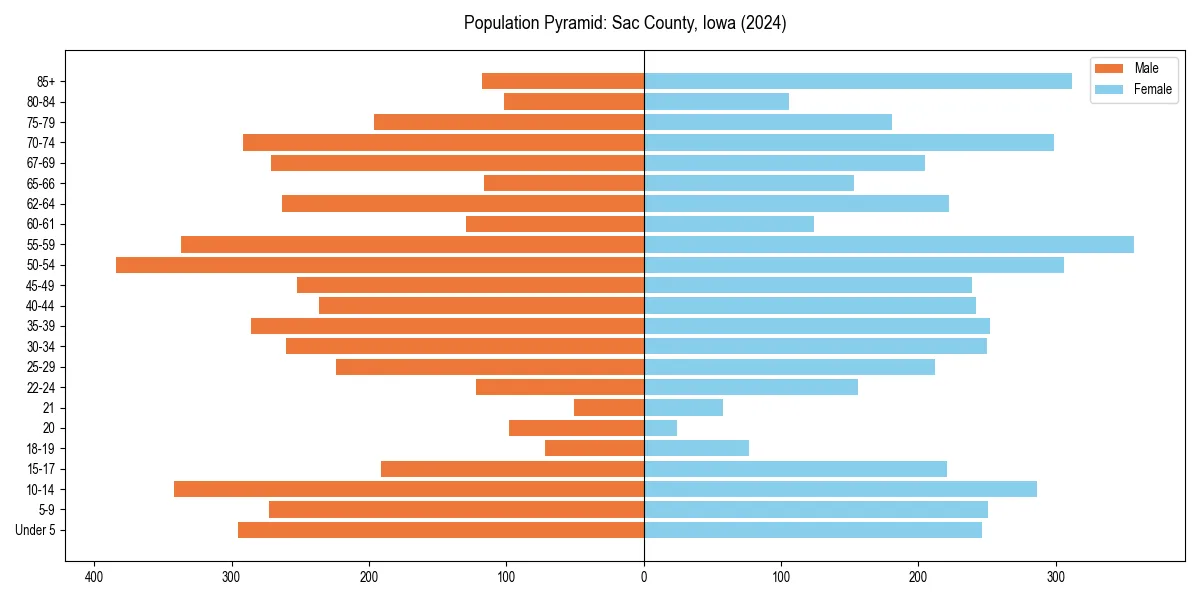 Population pyramid for 