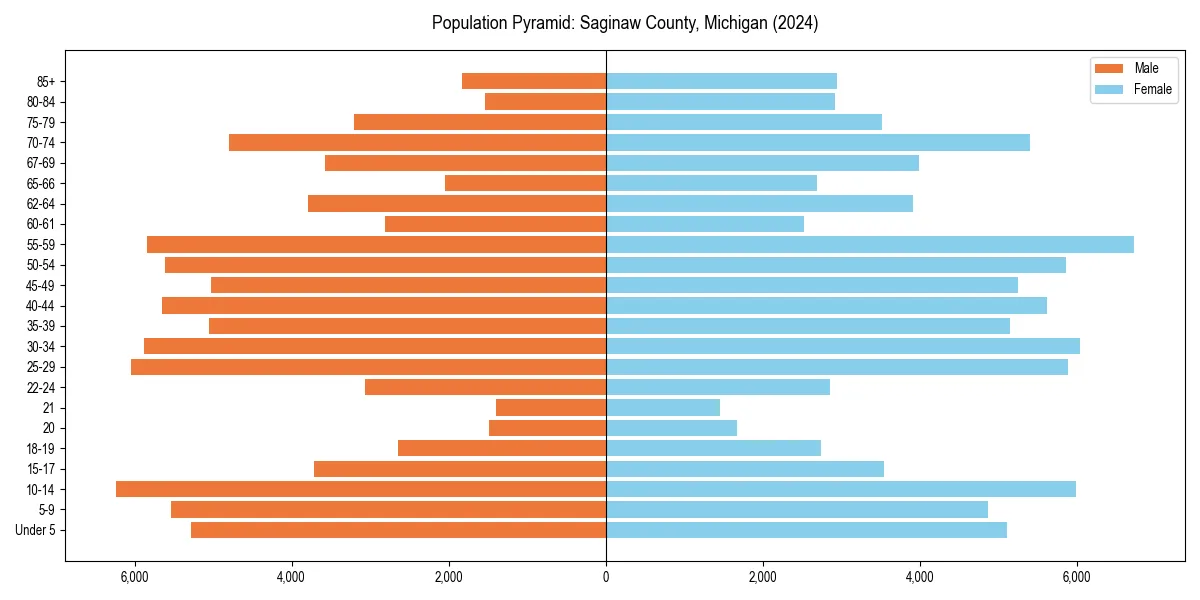 Population pyramid for 