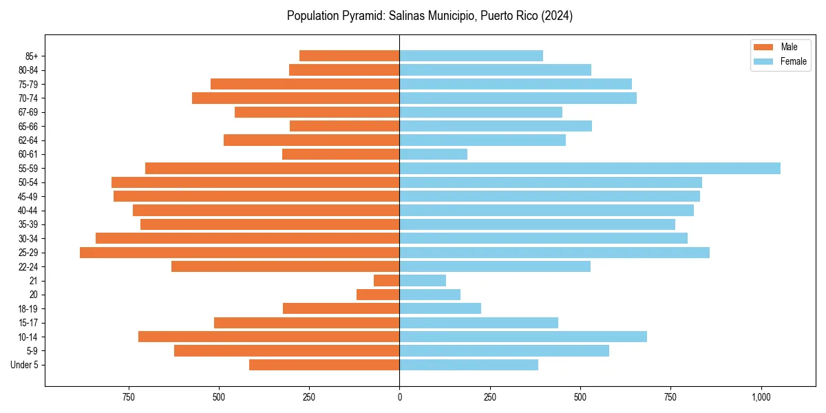 Population pyramid for 