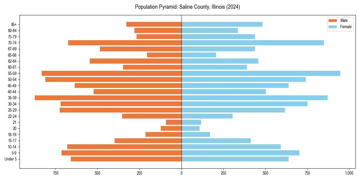Population pyramid for 