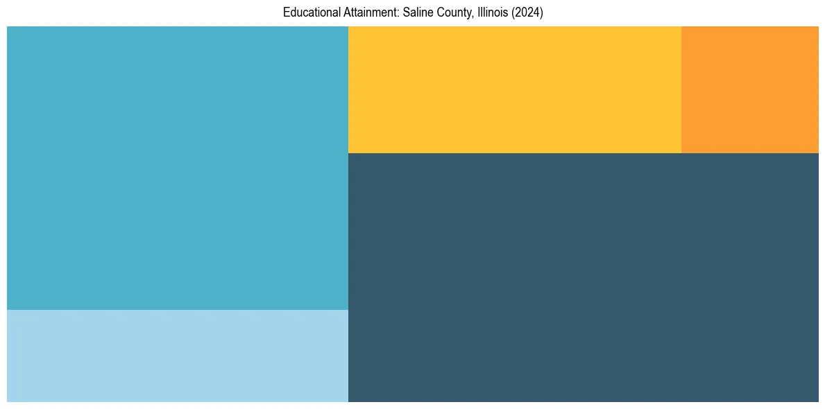 Education Treemap for  in 2024