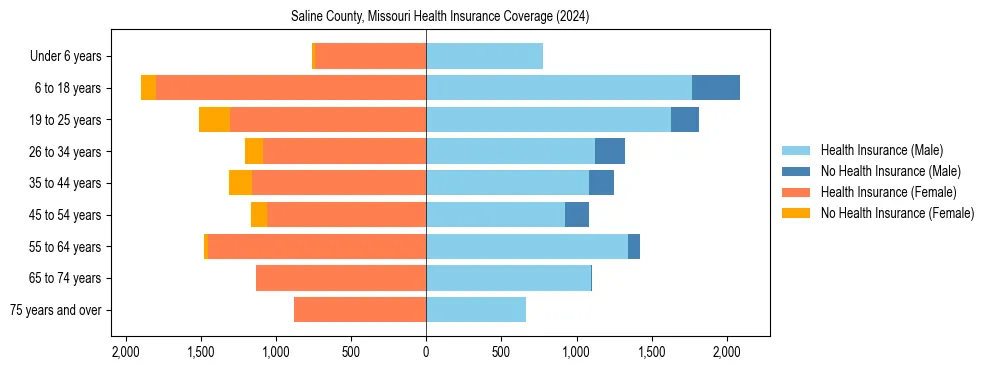 Health insurance pyramid for Saline County, Missouri