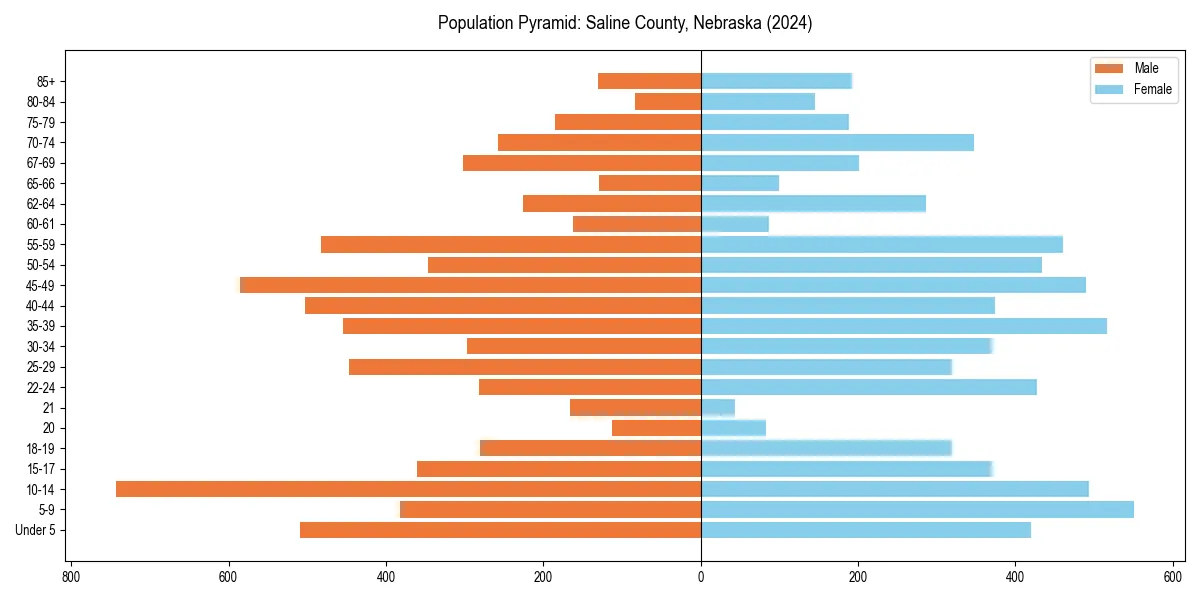 Population pyramid for 