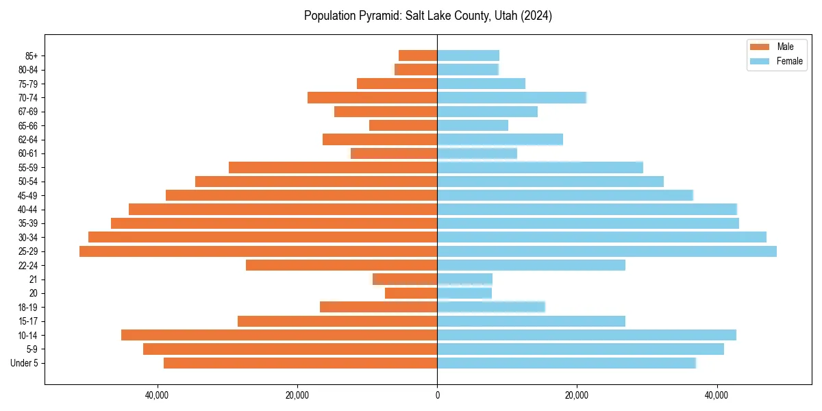Population pyramid for 