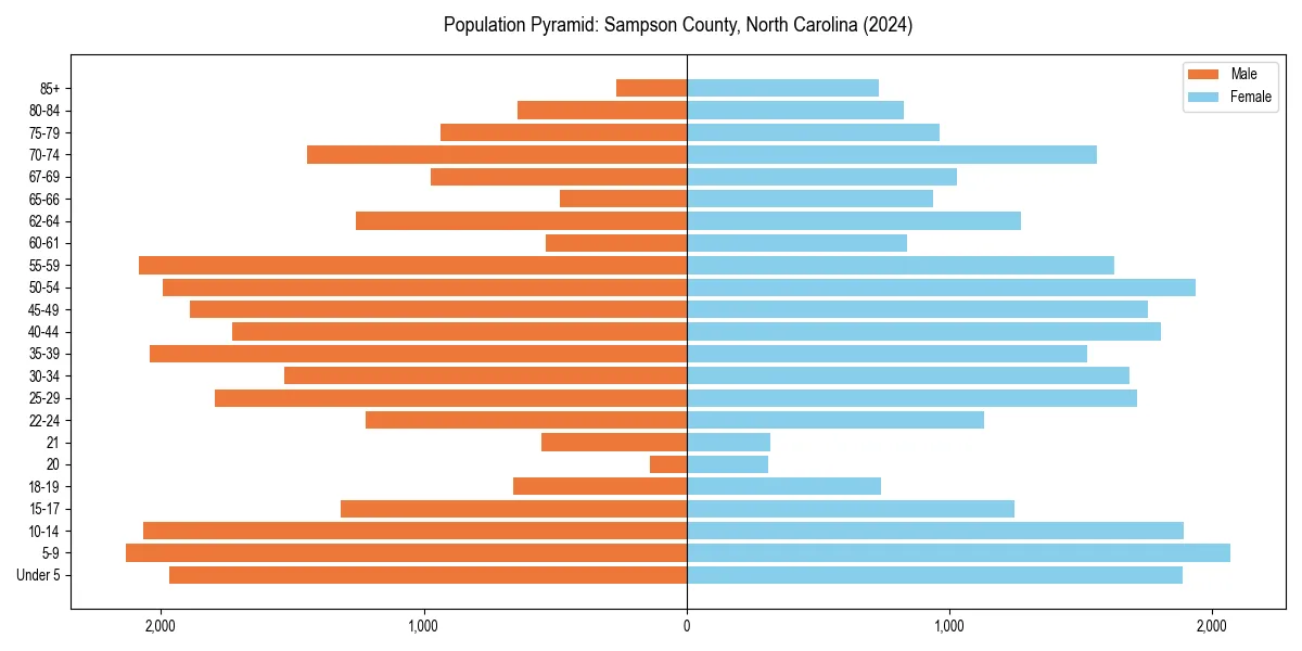 Population pyramid for 