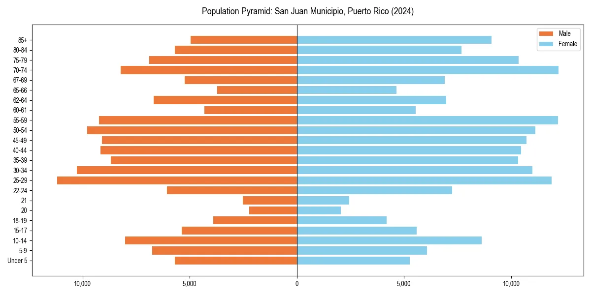 Population pyramid for 