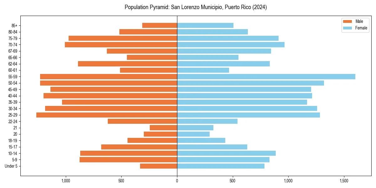 Population pyramid for 