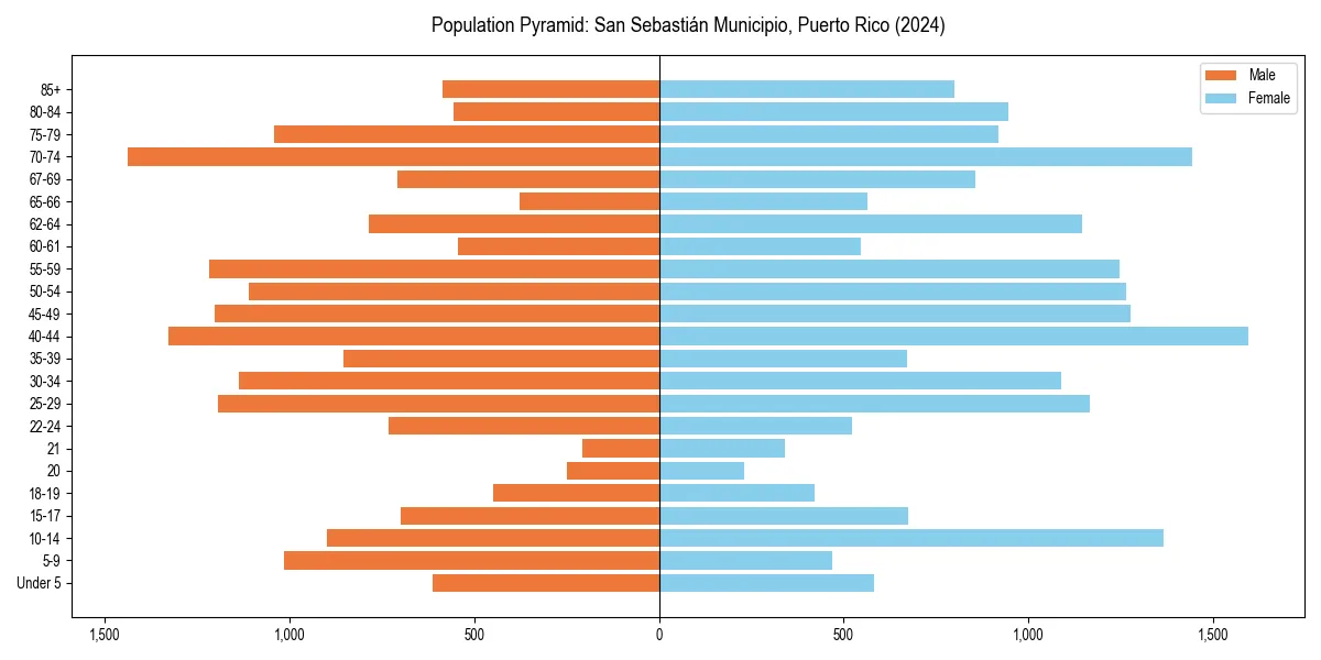 Population pyramid for 