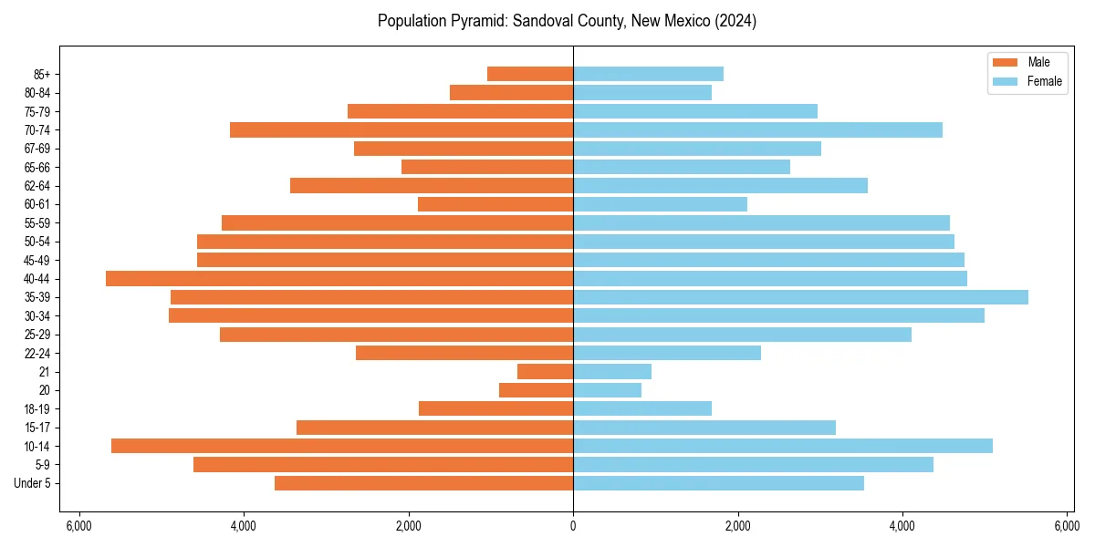 Population pyramid for 