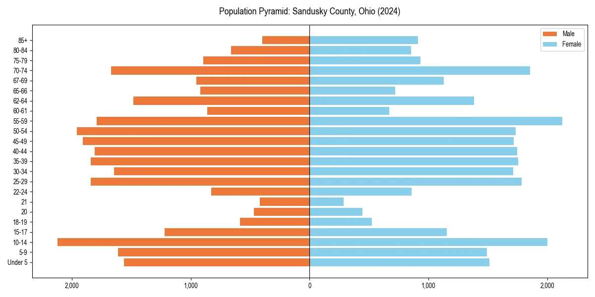 Population pyramid for 
