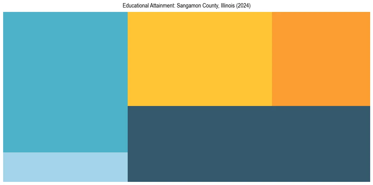 Education Treemap for  in 2024
