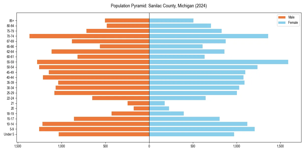Population pyramid for 