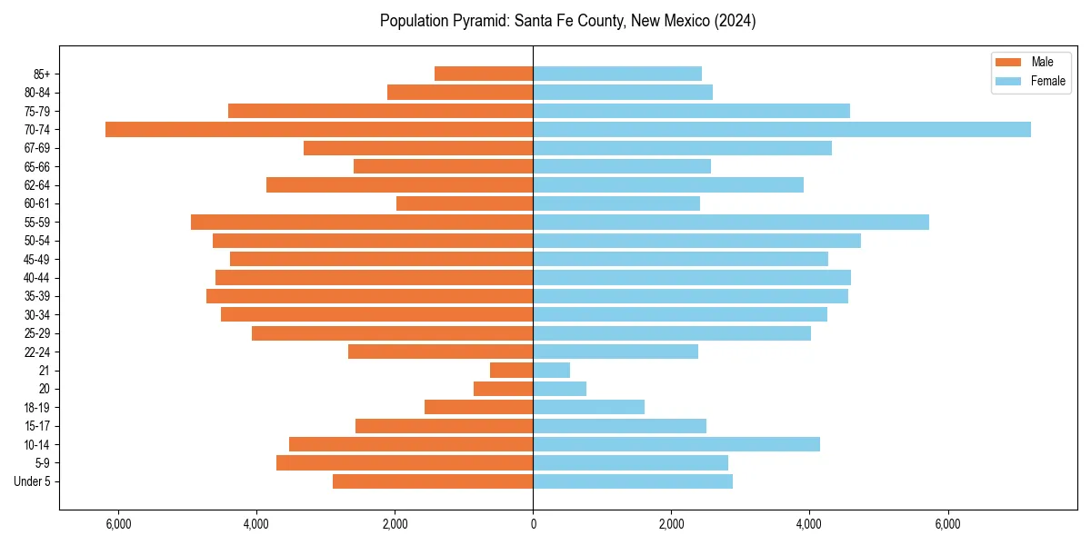 Population pyramid for 