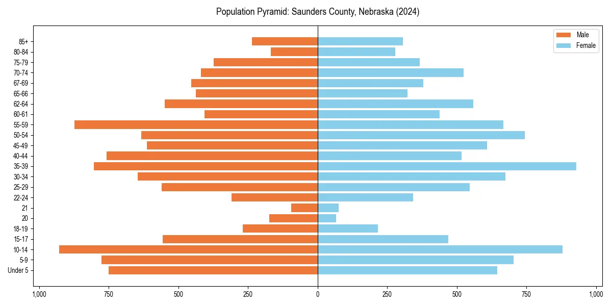 Population pyramid for 