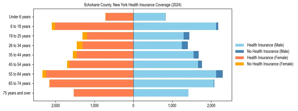 Health insurance pyramid for Schoharie County, New York