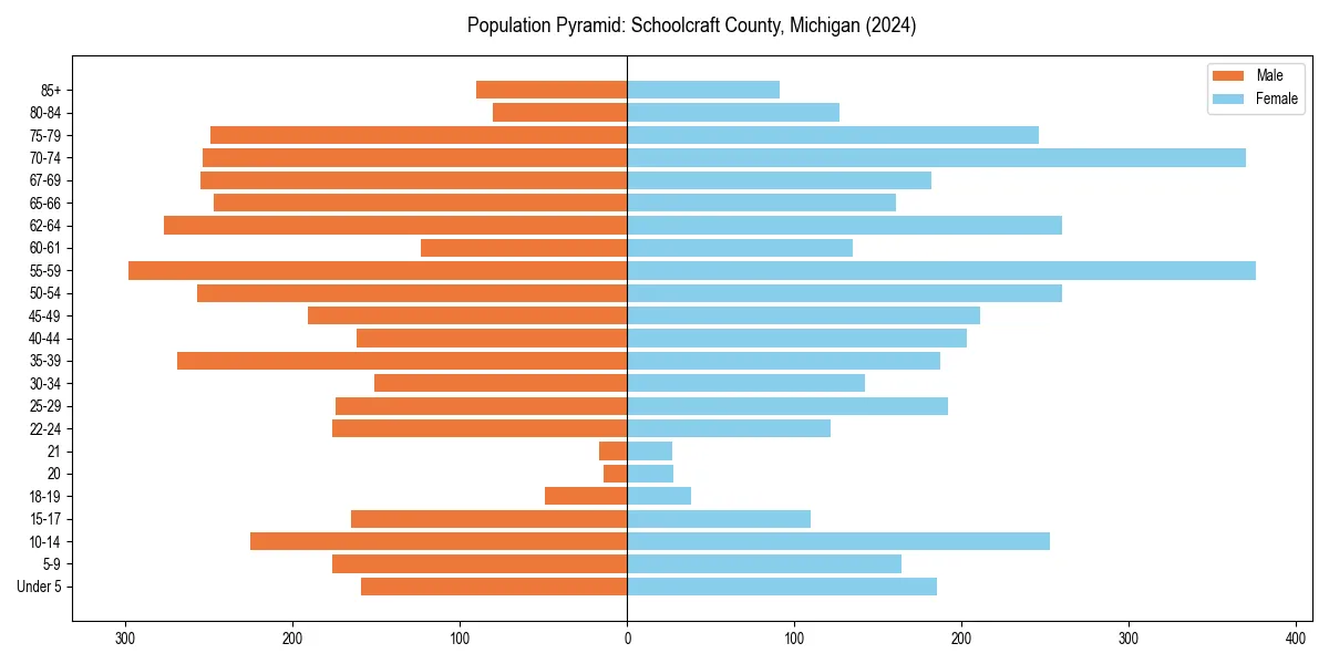 Population pyramid for 