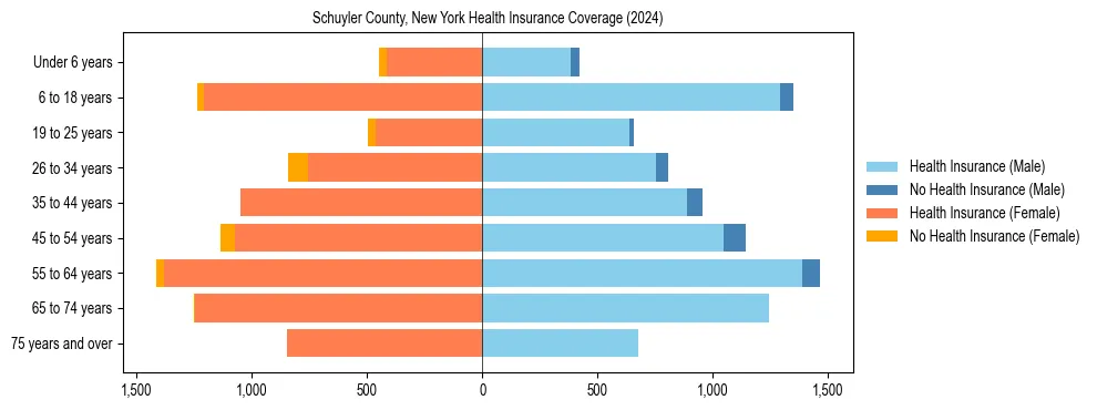 Health insurance pyramid for Schuyler County, New York