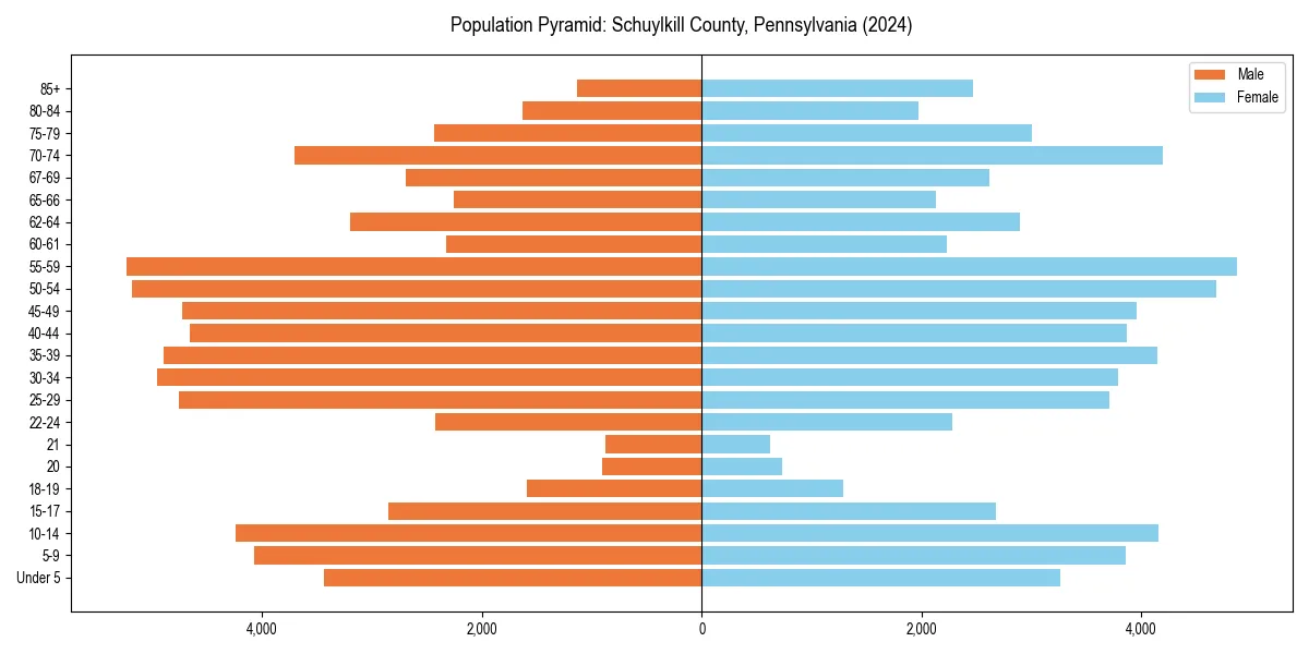 Population pyramid for 