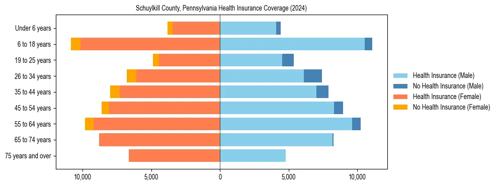 Health insurance pyramid for Schuylkill County, Pennsylvania