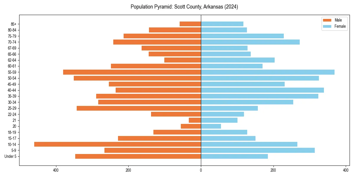Population pyramid for 