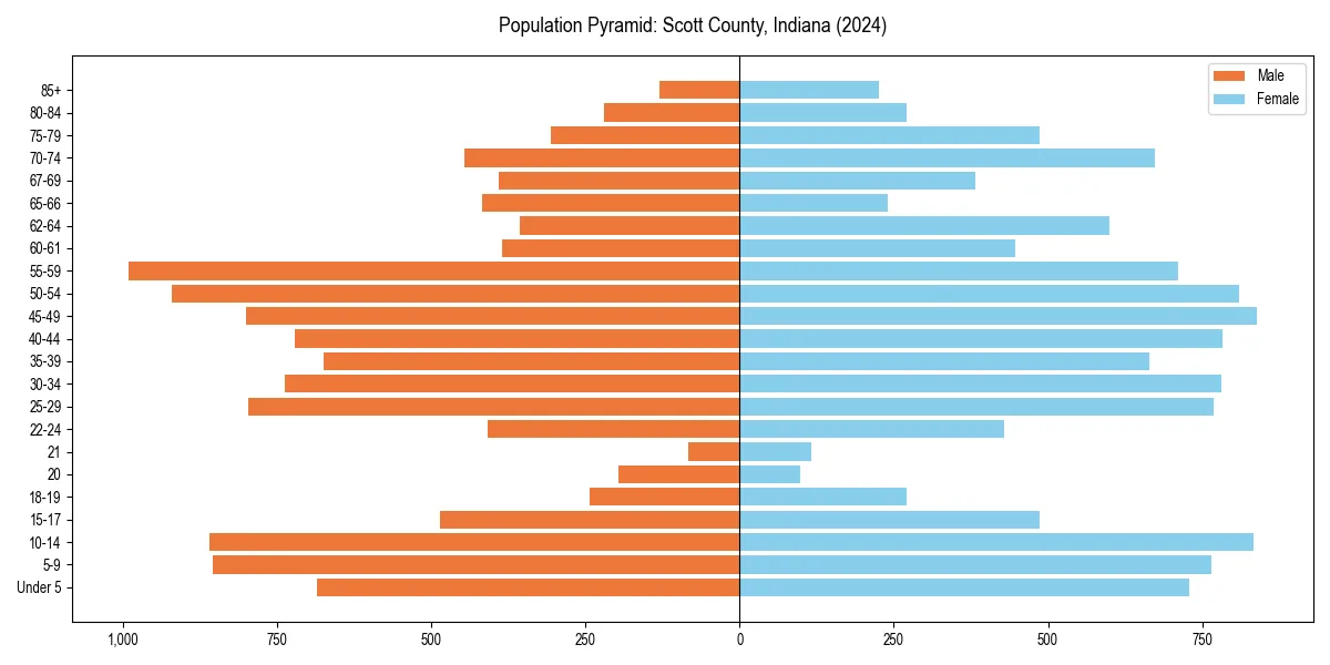 Population pyramid for 
