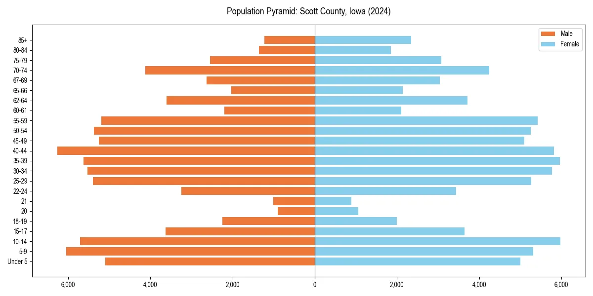 Population pyramid for 