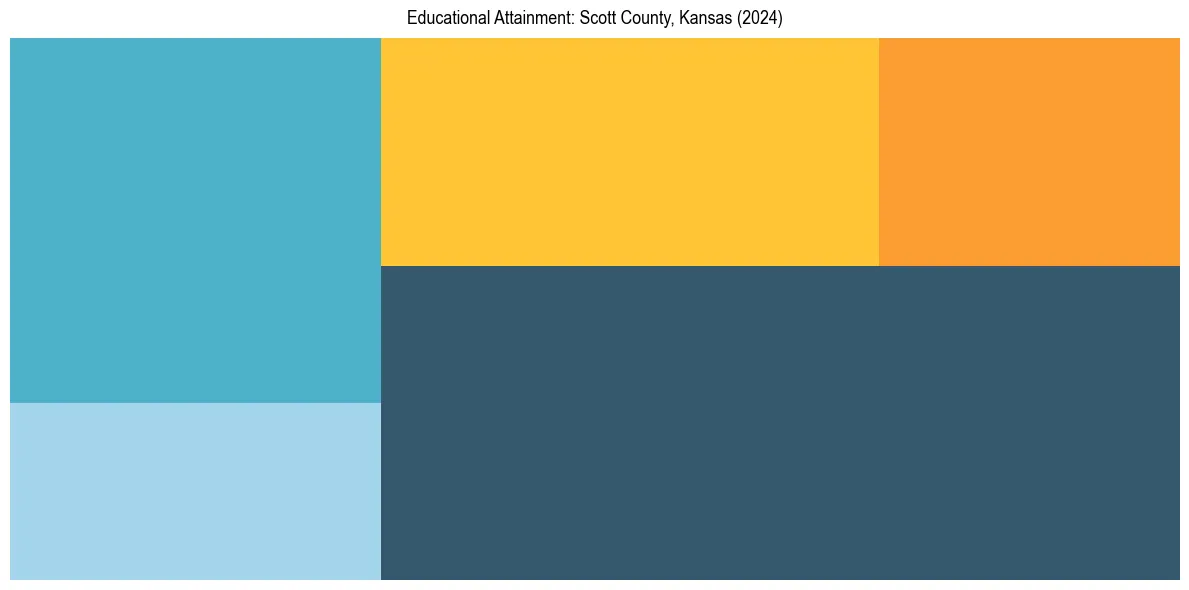 Education Treemap for  in 2024