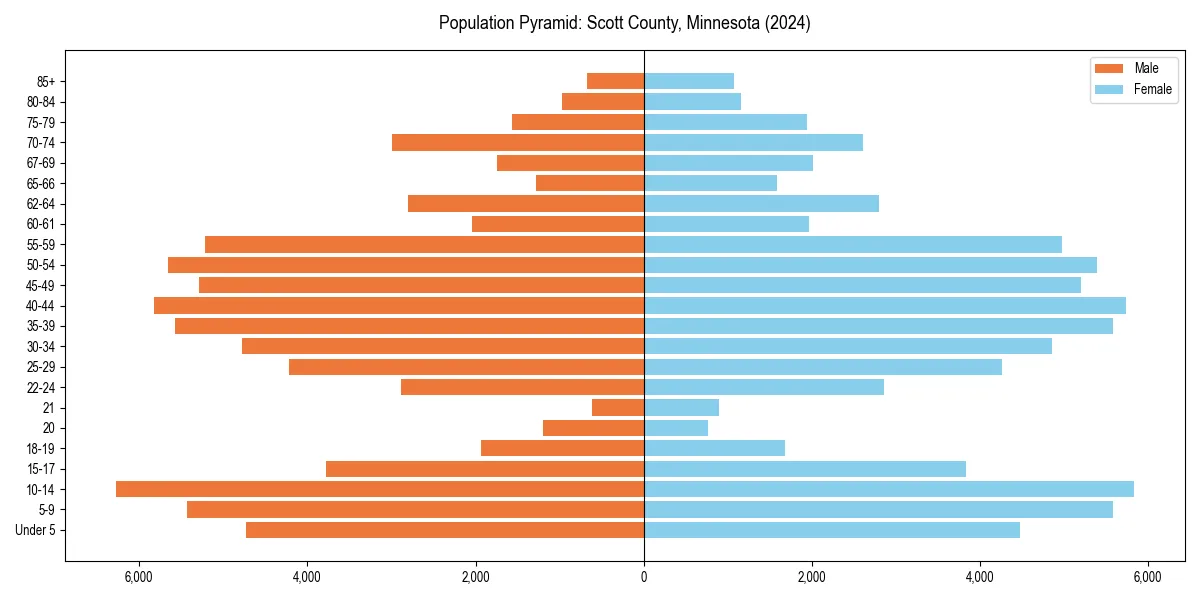 Population pyramid for 