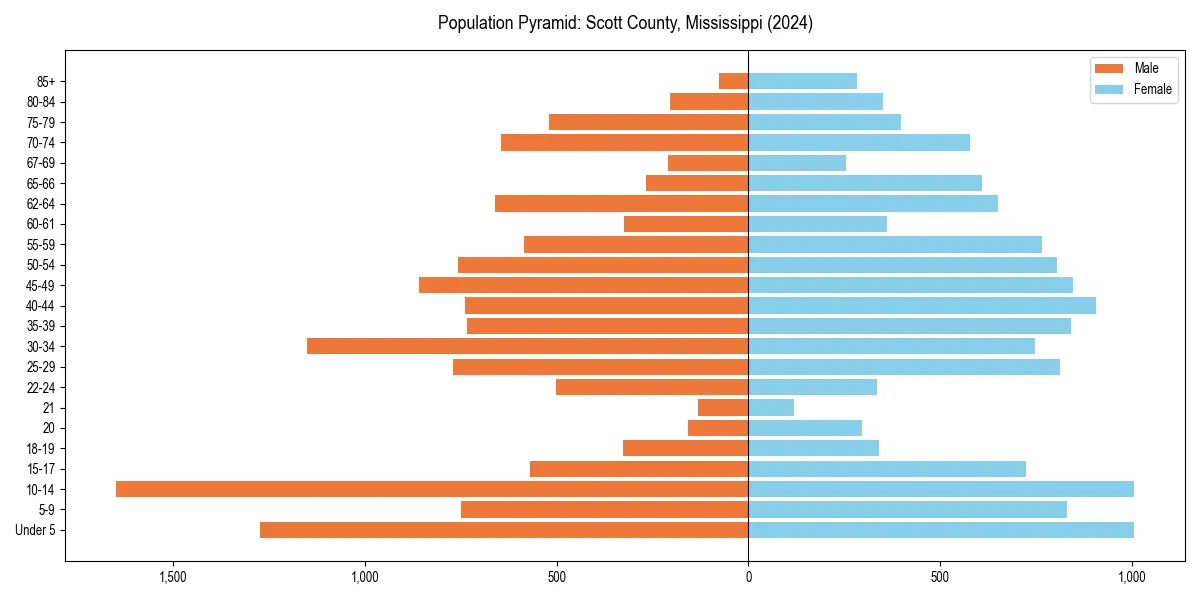Population pyramid for 
