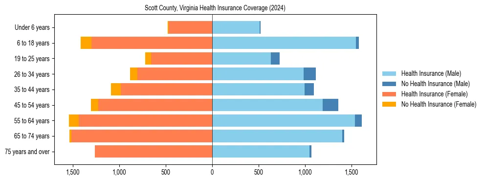 Health insurance pyramid for Scott County, Virginia