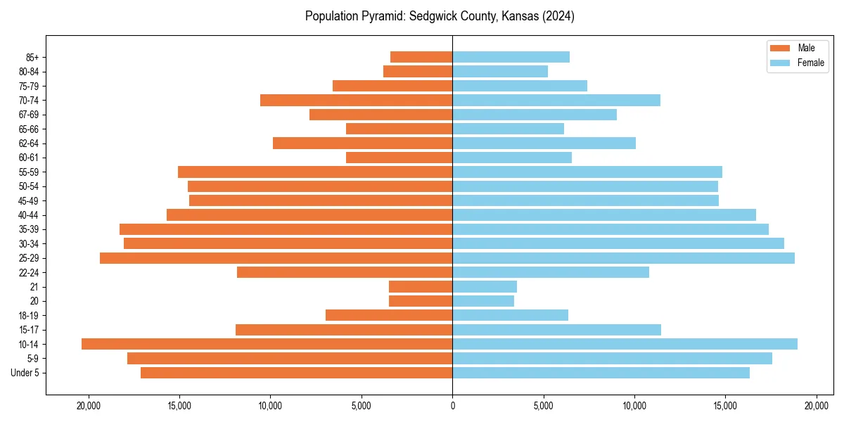 Population pyramid for 